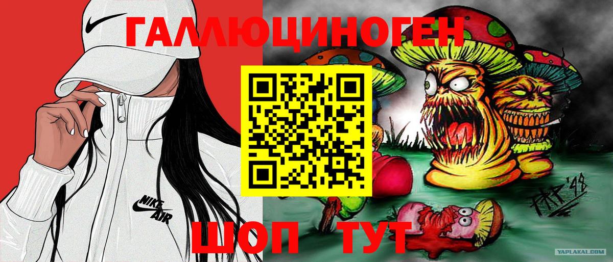 Жуковский  Псилоцибиновые грибы прущие грибы  Вход с VPN 