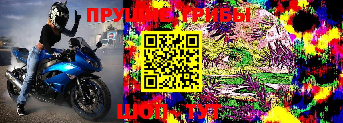 Псилоцибиновые грибы Cubensis Жуковский